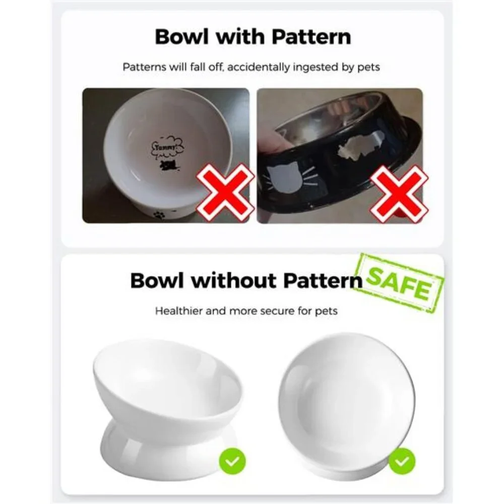 Elevated Cat Food Bowl, 5 Oz Ceramic Raised and Tilted Water Bowl, Anti Vomiting